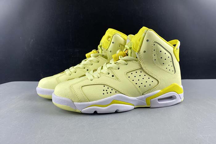 Air Jordan 6 GS Floral 543390-800