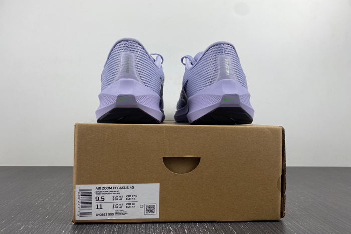 Nike Pegasus 40  DV3853-500